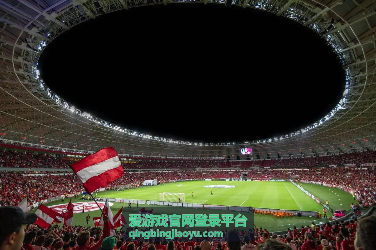 爱游戏官网登录平台安全校验环节说明